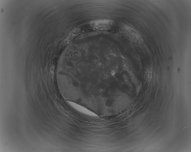 X0000086090271200704091334