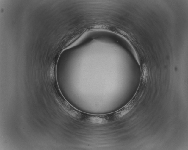 X0000086090272200704091334