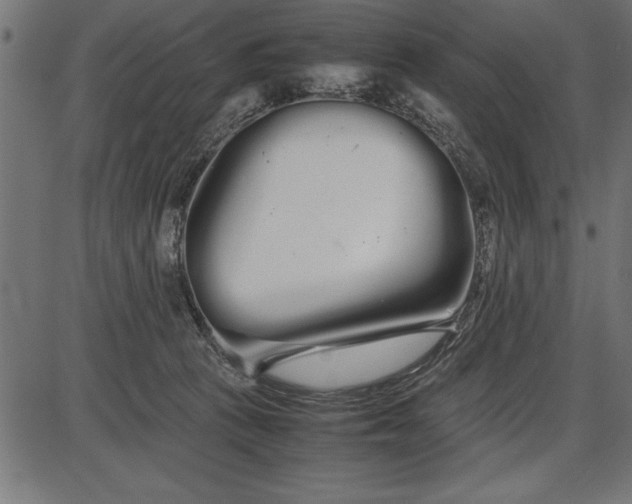 X0000086090273200704091334