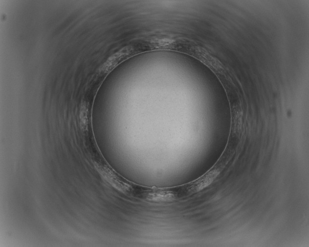 X0000086090274200704091334