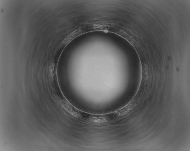 X0000086090275200704091334