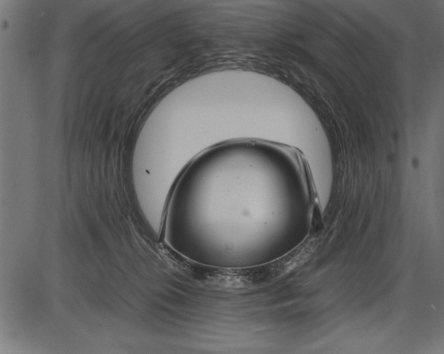 X0000086090276200704091334