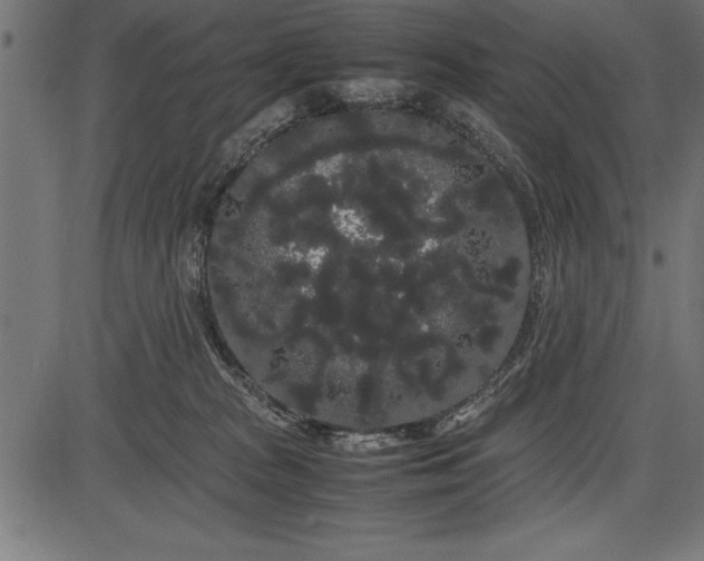 X0000086090277200704091334