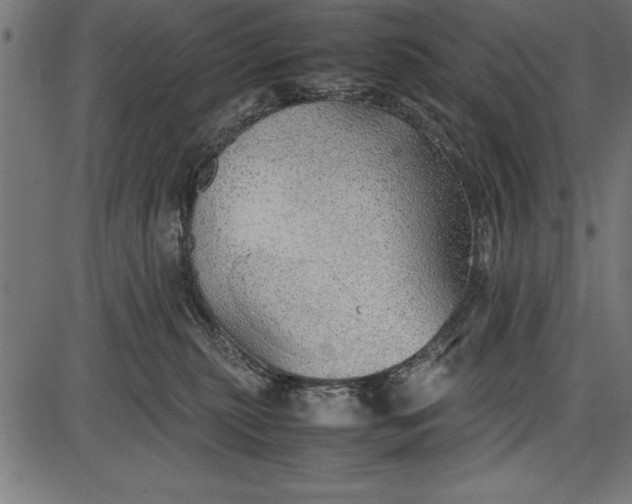 X0000086090279200704091334