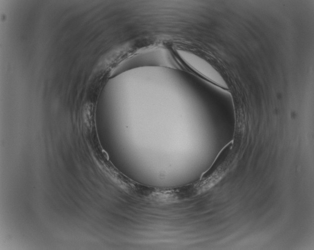 X0000086090280200704091334