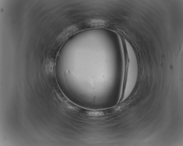 X0000086090281200704091334