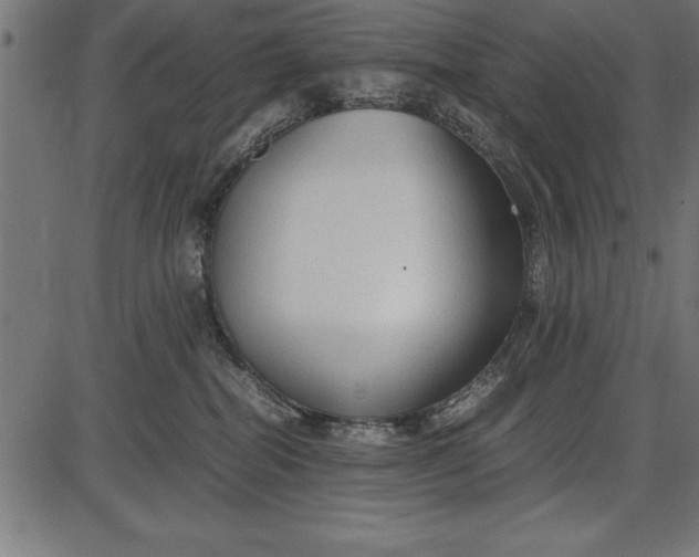 X0000086090282200704091334