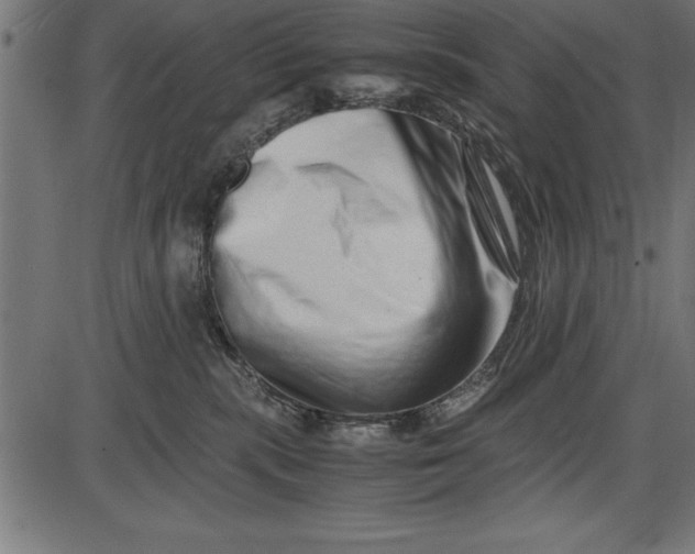 X0000086090283200704091334