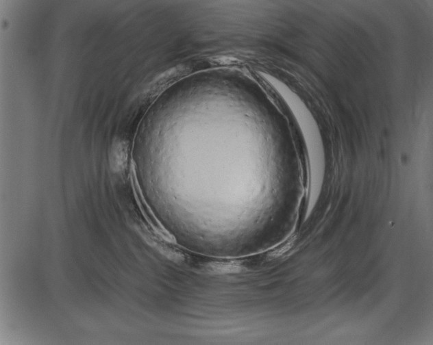 X0000086090284200704091334