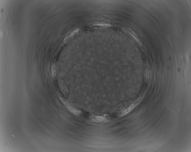 X0000086090285200704091334