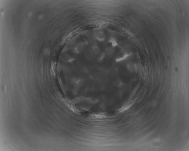 X0000086090286200704091334