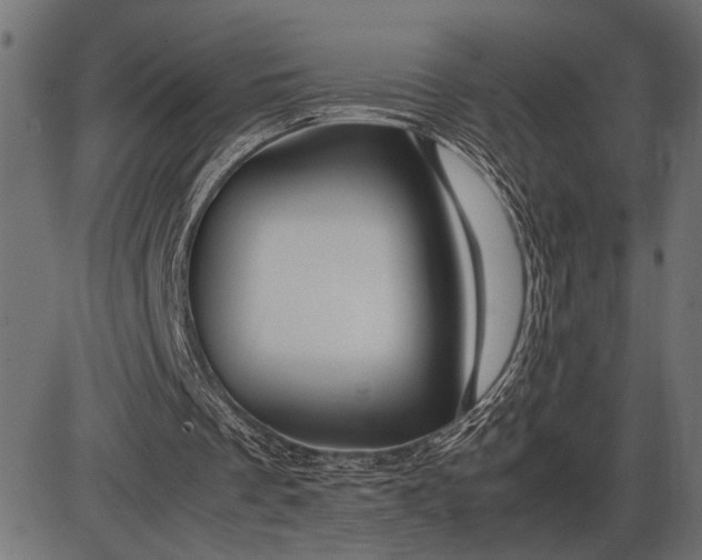 X0000086090289200704091334