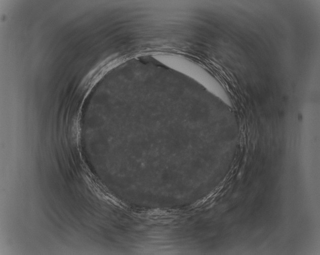 X0000086090290200704091334