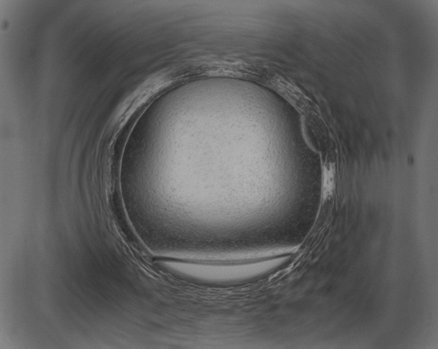 X0000086090291200704091334