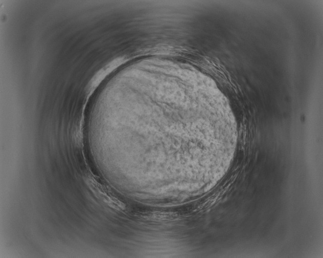 X0000086090292200704091334