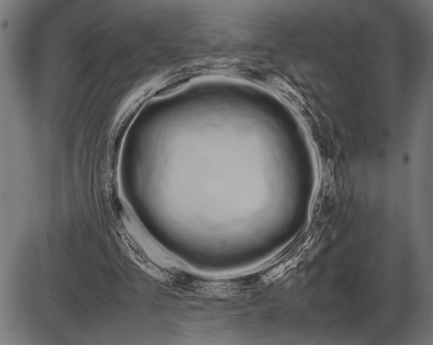 X0000086090293200704091334