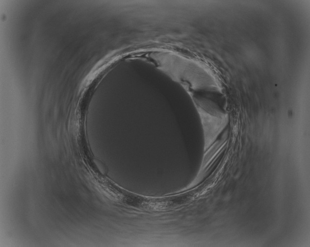 X0000086090295200704091334