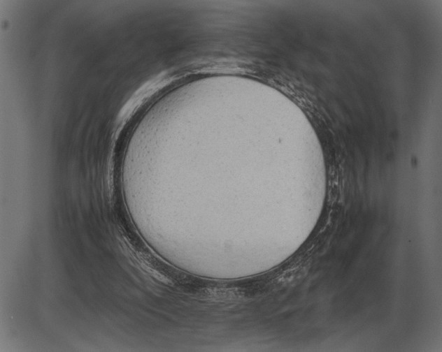 X0000086090296200704091334