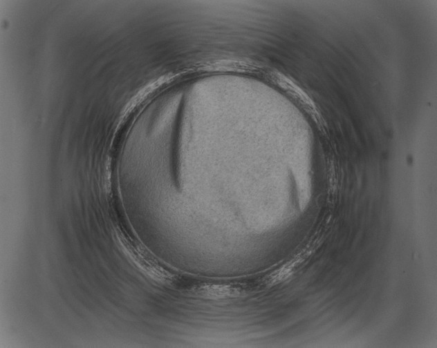 X0000086090298200704091334