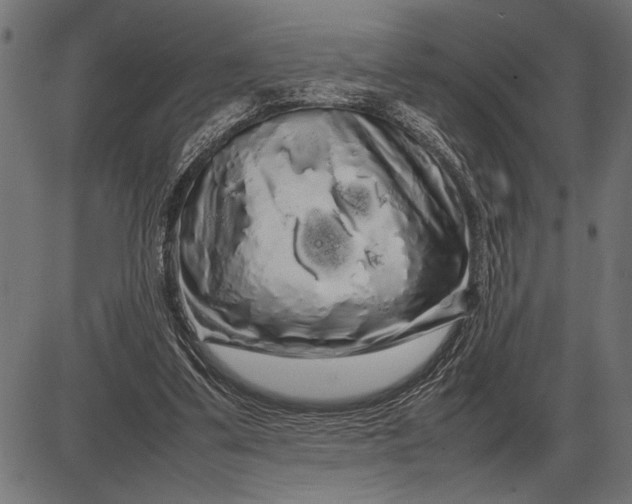 X0000086090299200704091333