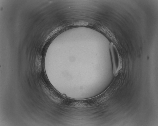 X0000086090300200704091333