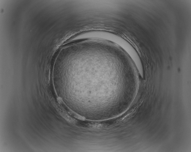 X0000086090301200704091333