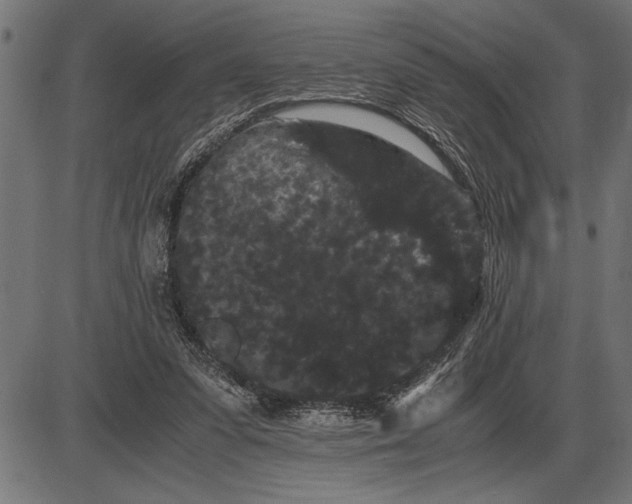 X0000086090303200704091333