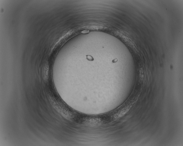 X0000086090304200704091333