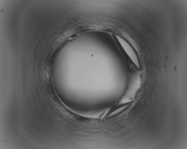 X0000086090305200704091333