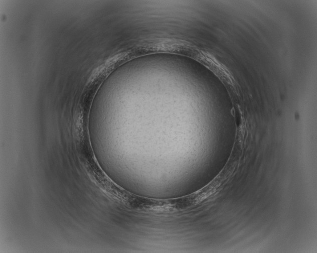 X0000086090306200704091333