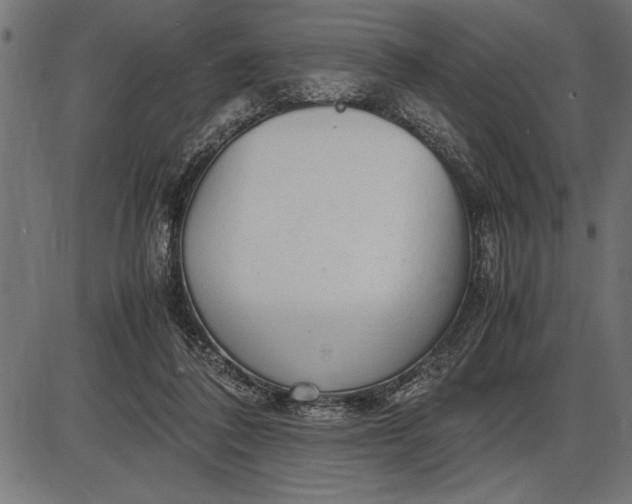 X0000086090308200704091333