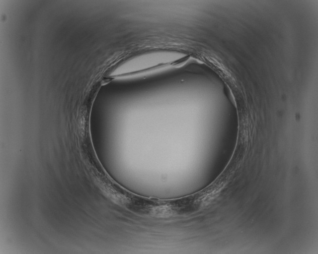 X0000086090309200704091333