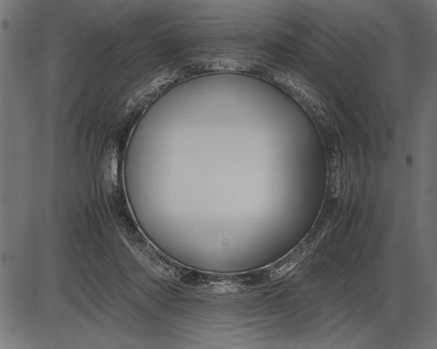 X0000086090310200704091333