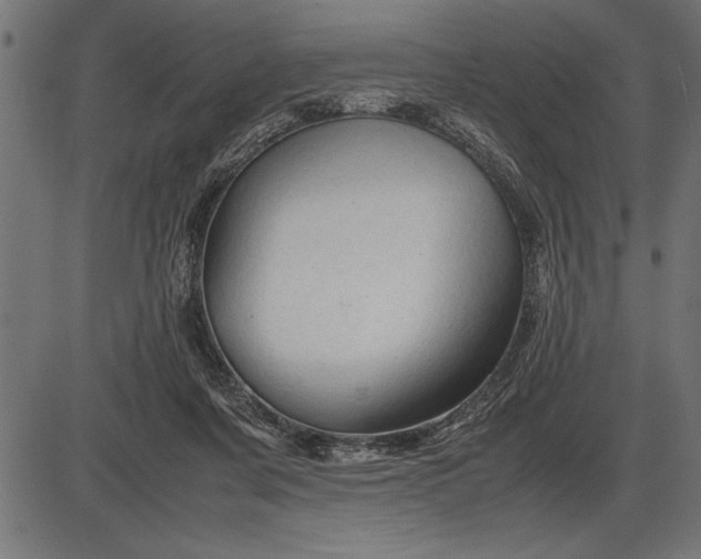 X0000086090311200704091333