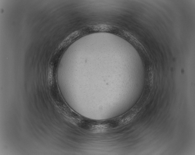 X0000086090312200704091333