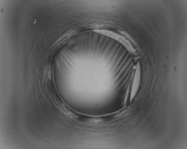 X0000086090313200704091333