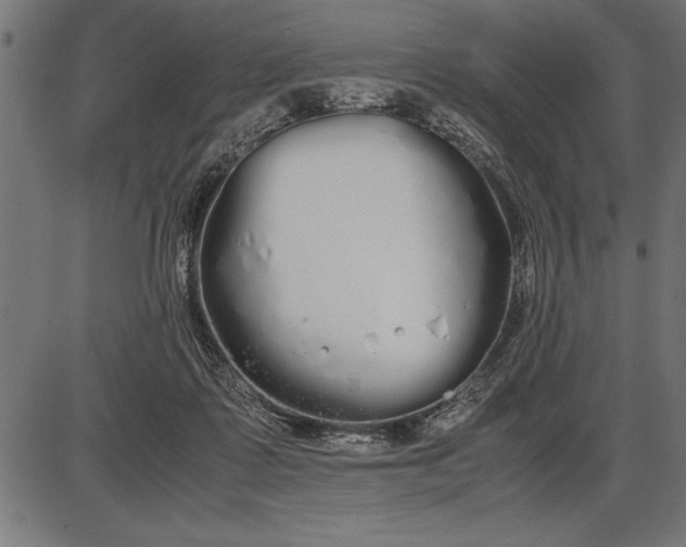 X0000086090315200704091333