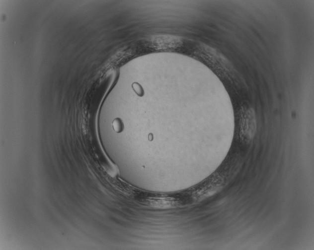 X0000086090316200704091333