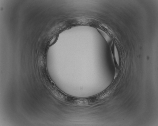 X0000086090317200704091333