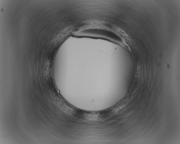 X0000086090318200704091333