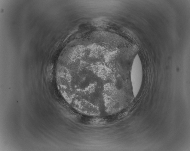 X0000086090319200704091333