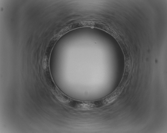 X0000086090323200704091333