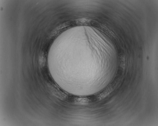 X0000086090324200704091333