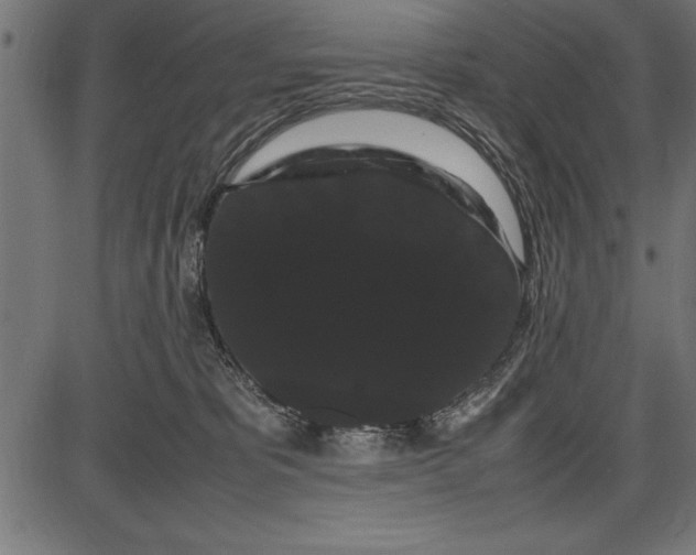 X0000086090325200704091333