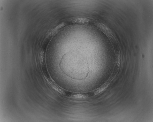 X0000086090326200704091333