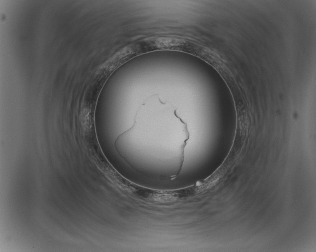 X0000086090327200704091333