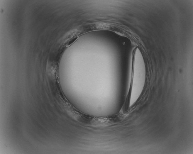 X0000086090329200704091333