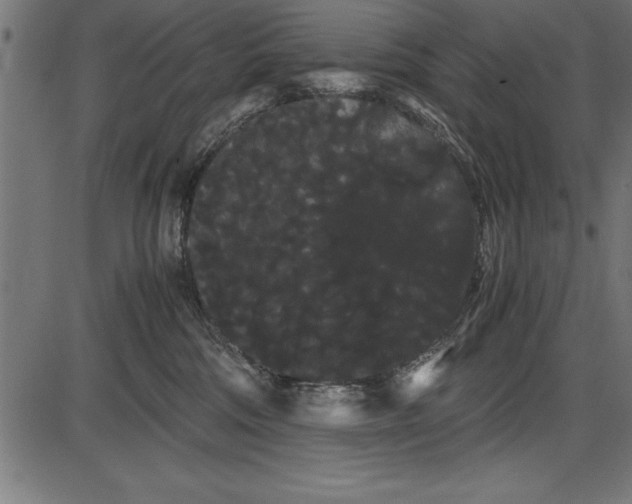 X0000086090330200704091333