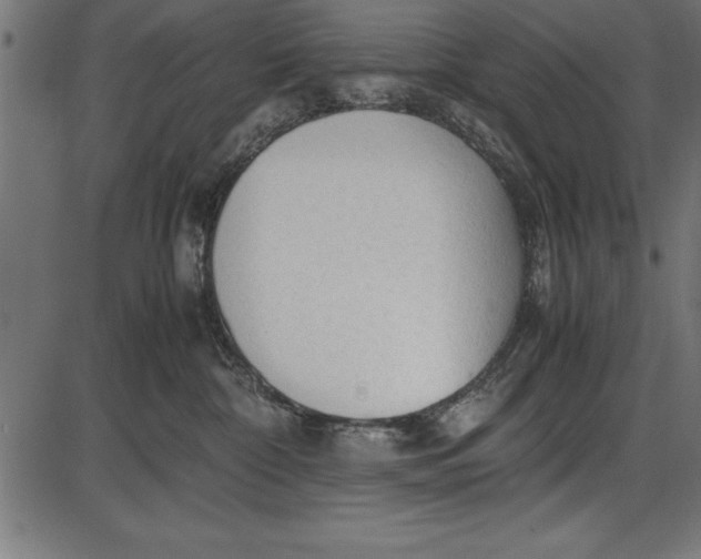 X0000086090332200704091333