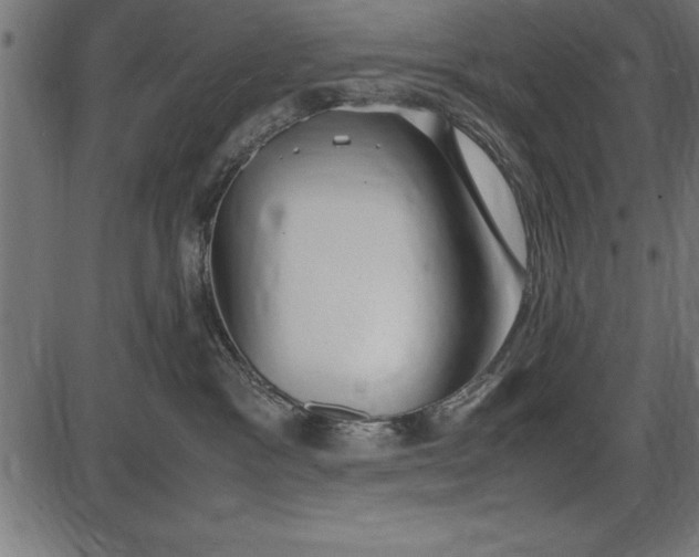 X0000086090333200704091333